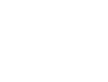 Next Level